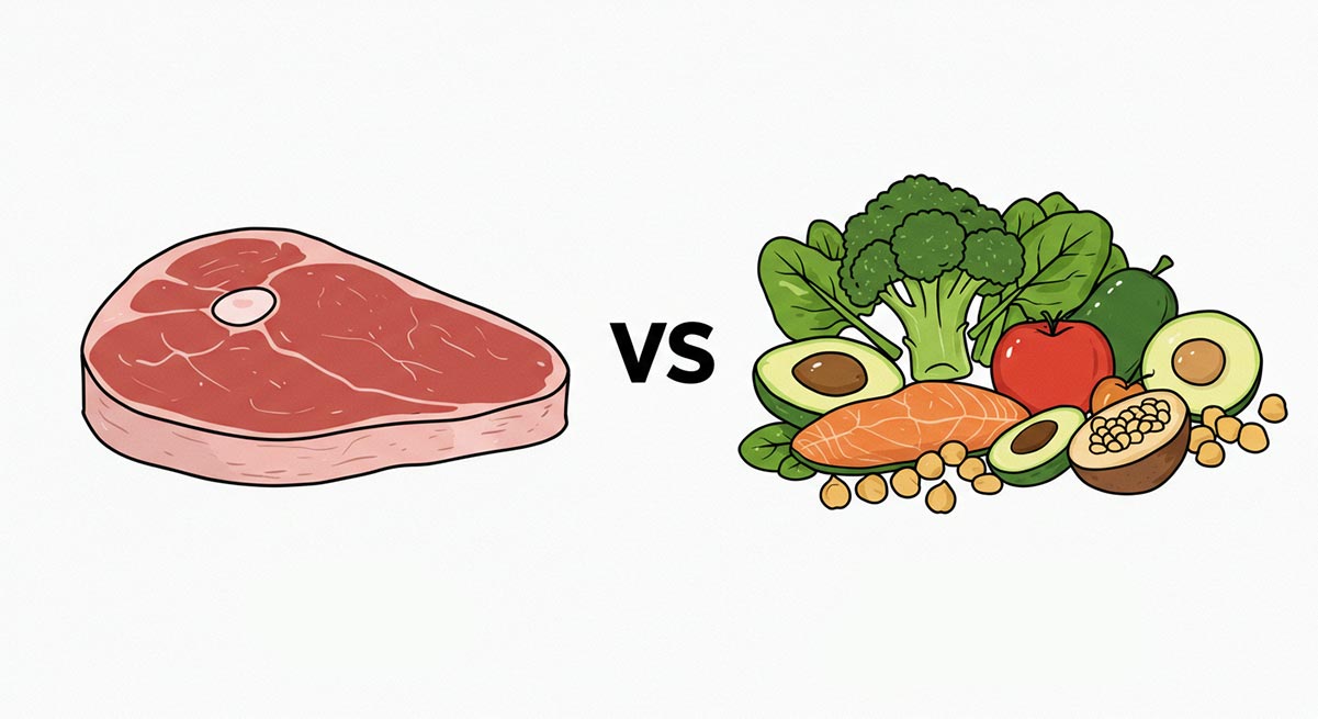Plant and animal protein sources.